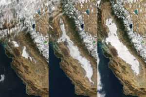 The Golden State’s Tule fog