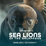 Disney: Sea Lions of the Galapagos | Earth Day