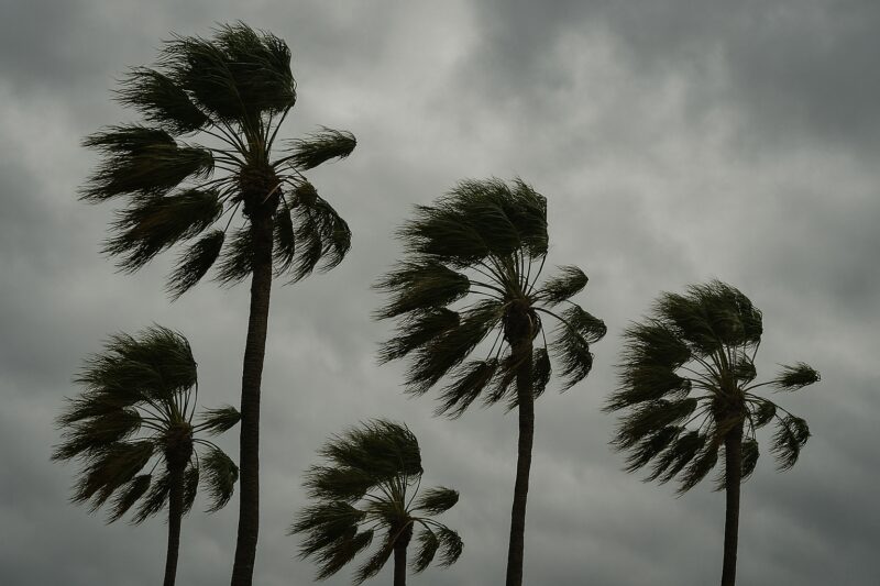 It’s Been Windy Lately, and SoCal Is Even Windier